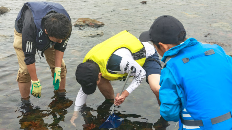 親子で挑戦！海の生き物採集