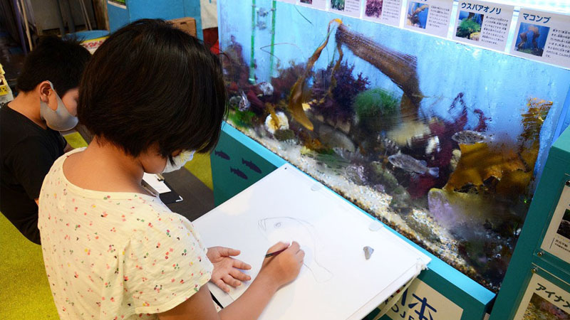 【函館朝市ミニ水族館講座】お魚お絵かき教室​