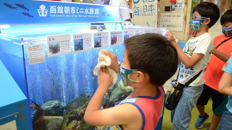 【函館朝市ミニ水族館講座】水族館飼育員体験​