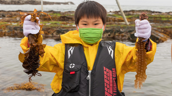 【子ども海藻アカデミー】海藻の森探検​