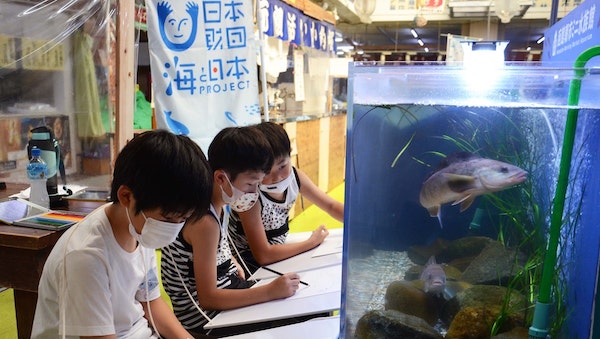 【函館朝市ミニ水族館講座】お魚お絵かき教室2021