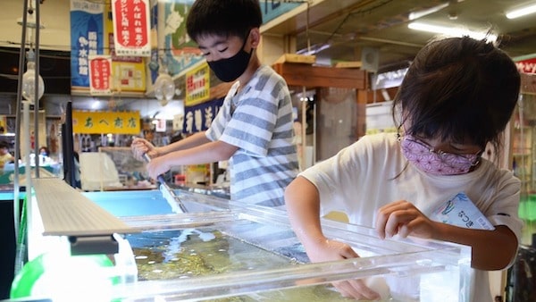 【函館朝市ミニ水族館講座】水族館飼育員体験2021