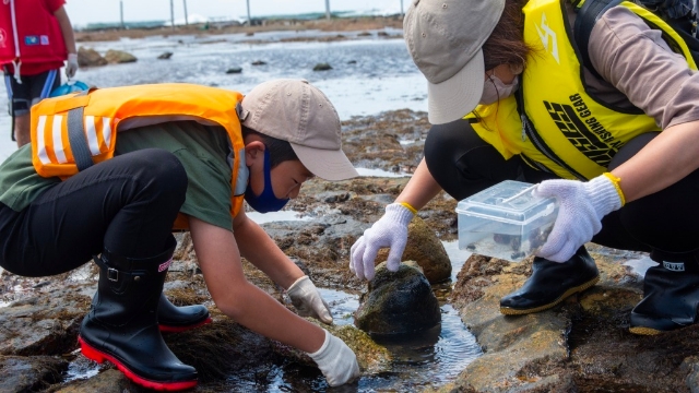 【函館朝市ミニ水族館講座】親子で磯の生き物観察会