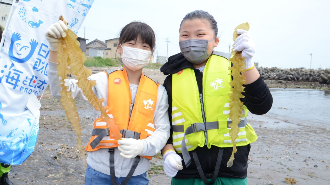 【子ども海そうアカデミー】　北海道産アオノリでノリノリ！の巻​​​