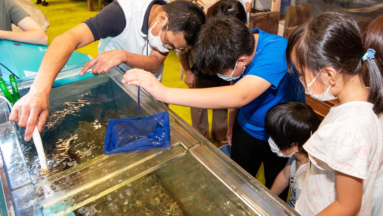 【函館朝市ミニ水族館講座】水族館飼育員体験2022​​​