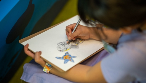 【函館朝市ミニ水族館講座】お魚お絵かき教室​​​