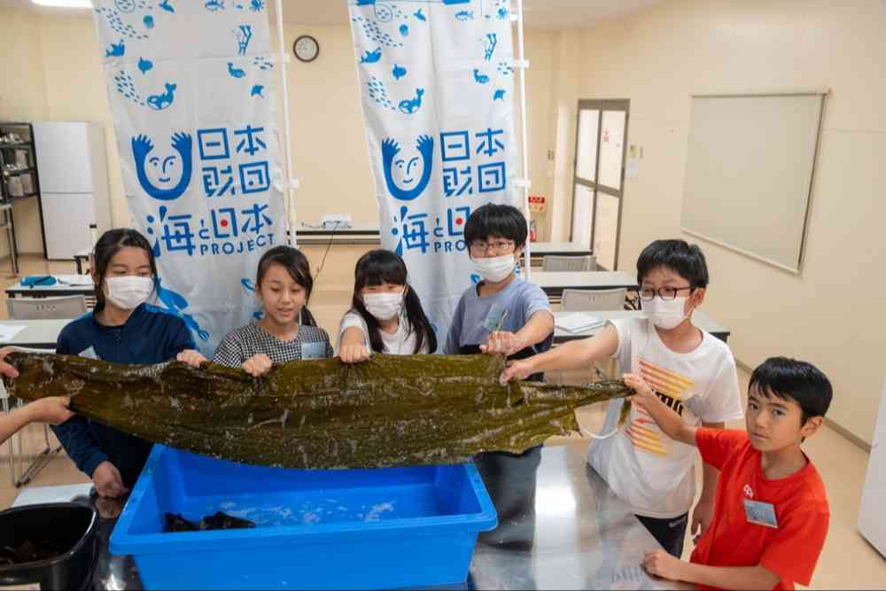 【子ども海そうアカデミー】目指せ！コンブの博士ちゃん