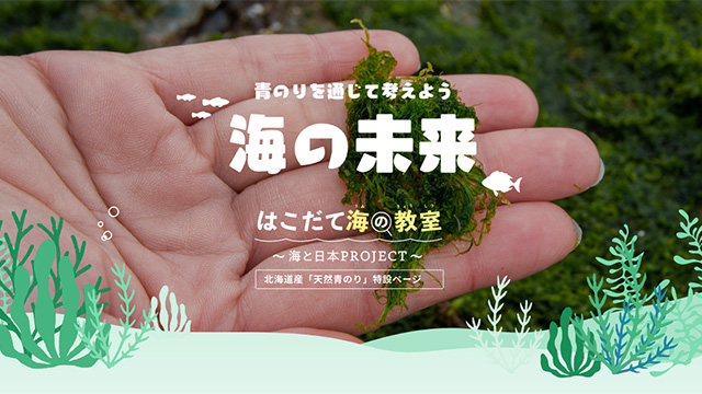 北海道産天然青のりに関する調査や取り組みに関する情報を公開中