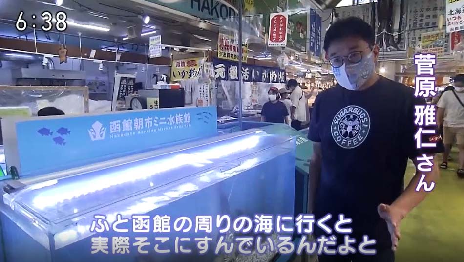 「意外なところに水族館」NHK北海道で、函館朝市ミニ水族館を紹介いただきました